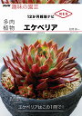 NHK趣味の園芸 12か月栽培ナビNEO 多肉植物 エケべリア