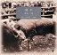 朗読CD3枚組闘牛井上靖日下武史朗読 4,730円