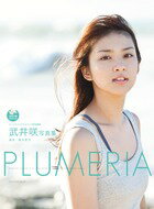 武井咲写真集『PLUMERIA』　DVD付