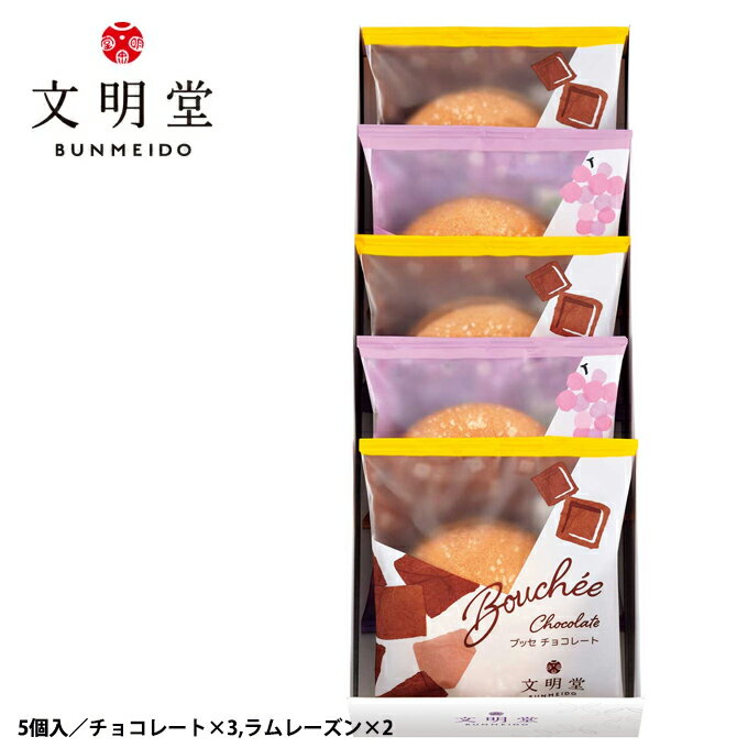 カステラ 贈り物におすすめ ギフト 文明堂 ブッセ 5個入（チョコレート,ラムレーズン）ふわふわ食感で人気の洋菓子「ブッセ」 内祝・出産祝・誕生日・入園・御祝・ギフト・結婚祝・販促ギフト・景品【入学 お返し】【母の日 父の日】