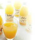伊藤農園 100%ピュアジュース5本ギフトセット ジュース フルーツ ソフトドリンク 飲料 ドリンク ジュース 御供 香典 粗供養 志 粗品 販促品 景品 内祝 出産祝 誕生日 引出物 御礼御祝 結婚 お返し 引越し 挨拶 ギフト 快気祝【帰省 土産】【お中元 お盆】