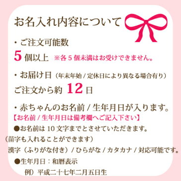贈り物におすすめプレゼントに最適です。お名入れギフト宝屋本店 慶びのめんめん 慶寿饂飩(紅・白)(各50g)・丸餅(紅・白)内祝・出産祝・誕生日・入園・御祝・ギフト・結婚祝【smtb-td】
