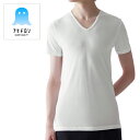 【アセドロン/鹿の子】VネックTシャツ 半袖 Vネック インナー メンズ 鹿の子素材 春夏 V首 汗対策 吸汗 速乾 汗ムレ 汗 ムレ 防止 汗冷え 吸放湿 抗菌 防臭 春 夏 秋 下着 肌着 男性 紳士 オフィス 仕事 アセドロン MCA715【帰省 土産】【お中元 お盆】