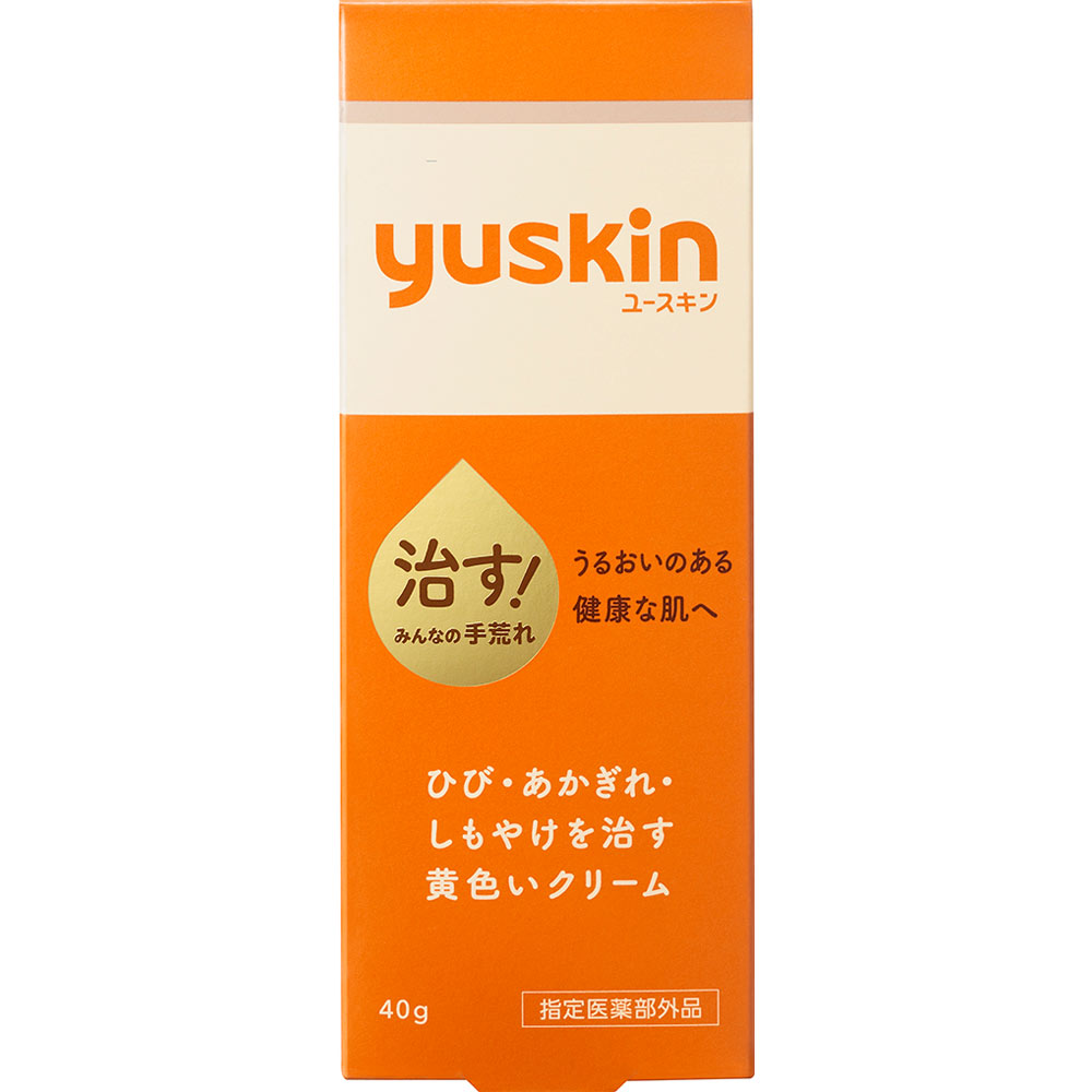 【指定医薬部外品】 ユースキン製薬 ユースキンAa 40g 【メール便対象品】