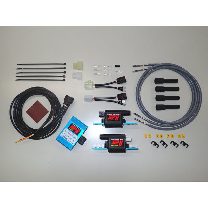 ASˡ015CP SPII ѥѥ륭å C (2P2)C85 ɥå Х Żҥѡ 42ĥץ饰¾ ǽХƥ