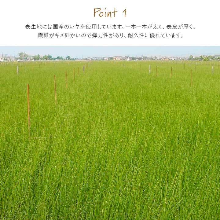 【クーポン配布中】撥水 国産 い草 日本製 置き畳 ユニット畳 簡単 和室 ナチュラル 約88×176cm 単品 [3]
