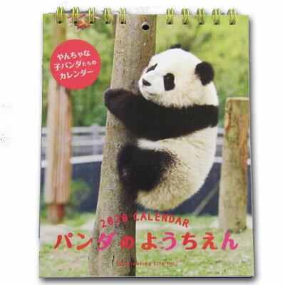 2019年 卓上 パンダ カレンダー（パンダの幼稚園）（ネコポス便可）rouishin1224