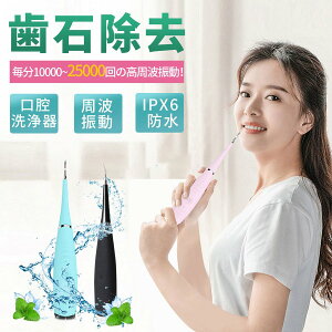 【送料無料】 口腔洗浄器 超音波スケーラー口臭予防 歯周病予防 IPX6防水 口腔洗浄器歯用ツール 超音波デンタルクリーナー 歯石取り器具 口腔洗浄器 歯石取りスクレバー