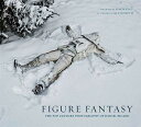 【古本】 Figure Fantasy: The Pop Culture Photography of Daniel Picard - Daniel Picard (Insight Comics) 【紙書籍】 9781608875511(3)