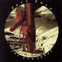 【中古】 The Red Shoes - Kate Bush (Columbia) 074645373720