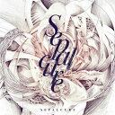 【中古】 Sepalcure - SEPALCURE (Hotflush) 5055317217929