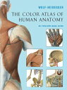 【古本】 Color Atlas of Human Anatomy - Wolf-Heidegger (Union Square & Co.) 【紙書籍】 9781402742002