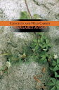 【古本】 Concrete and Wild Carrot - Margaret Avison (Brick Books) 【紙書籍】 978189407824...