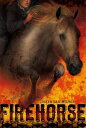 【古本】 Firehorse - Diane Lee Wilson (Margaret K. McElderry Books) 【紙書籍】 9781416915515