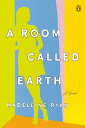 【古本】 Room Called Earth - Madeleine Ryan (Penguin Books) 【紙書籍】 9780143135456