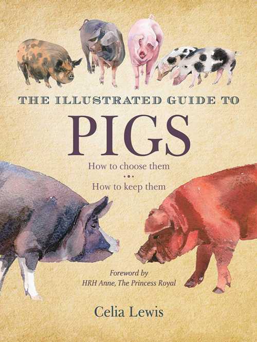 【古本】 Illustrated Guide to Pigs: How to Choose Them, How to Keep Them - Celia Lewis (Skyhorse) 【紙書籍】 9781616084363