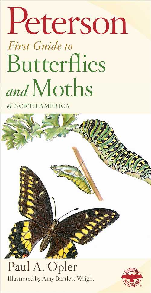 【古本】 Peterson First Guide to Butterflies and Moths - Paul A Opler (Mariner Books) 【紙書籍】 9780395906651
