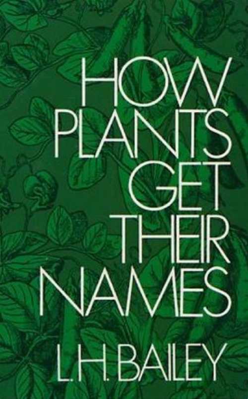 【古本】 How Plants Get Their Names (Revised) - Liberty Hyde Bailey (Dover) 【紙書籍】 9780486207964