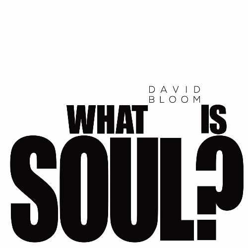 【古本】 What Is Soul? - David Bloom (Fire and Form Publishing) 【紙書籍】 9780976914846