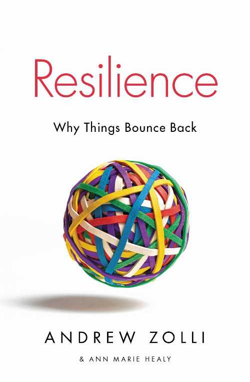 【古本】 Resilience: Why Things Bounce Back - Andrew Zolli (Simon & Schuster) 【紙書籍】 9781451683813
