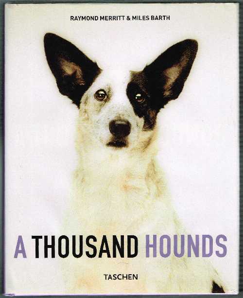 【古本】 Thousand Hounds - Ray Mer