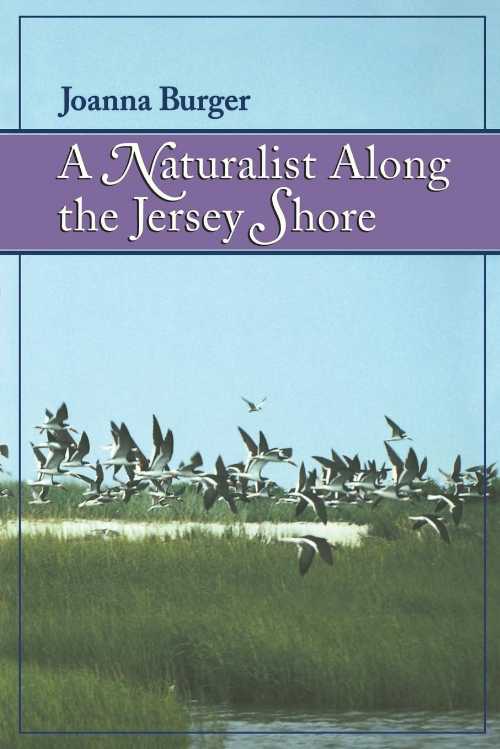 【古本】 Naturalist Along the Jersey Shore - Joanna Burger (Rutgers University Press) 【紙書籍】 9780813523002