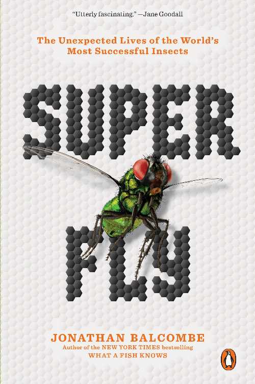 【古本】 Super Fly: The Unexpected Lives of the World's Most Successful Insects - Jonathan Balcombe (Penguin Books) 【紙書籍】 9780143134275
