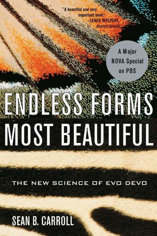 【古本】 Endless Forms Most Beautiful: The New Science of Evo Devo - Sean B Carroll (W. W. Norton & Company) 【紙書籍】 9780393327793