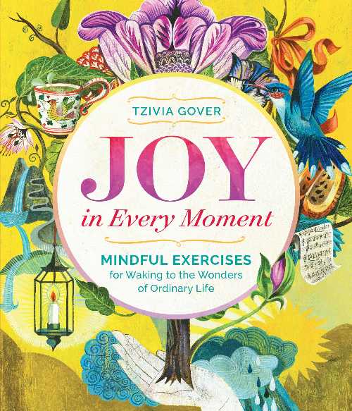 【古本】 Joy in Every Moment: Mindful Exercises for Waking to the Wonders of Ordinary Life - Tzivia Gover (Storey Publishing, LLC) 【紙書籍】 9781612125114