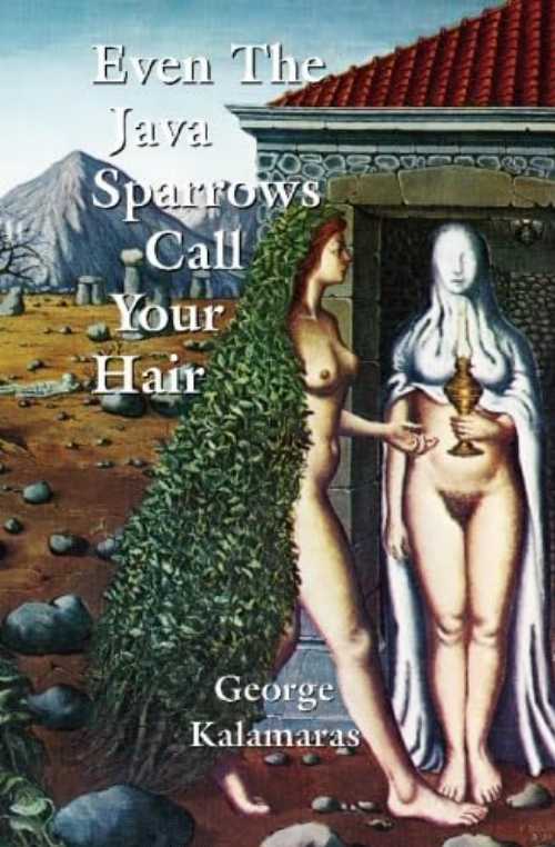 Roundabout Books���㤨��֡ڸ��ܡ� Even the Java Sparrows Call Your Hair (Trade Pbk - George Kalamaras (Quale Press �ڻ���ҡ� 9780974450322�פβ����Ǥ������ʤ�3,018�ߤˤʤ�ޤ���