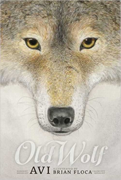 【古本】 Old Wolf - Avi Brian Floca (Scholastic) 【紙書籍】 9781338033472