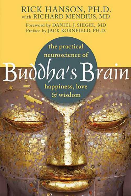 【古本】 Buddha's Brain: The Practical Neuroscience of Happiness, Love, and Wisdom - Rick Hanson (New Harbinger Publications) 【紙書籍】 9781572246959