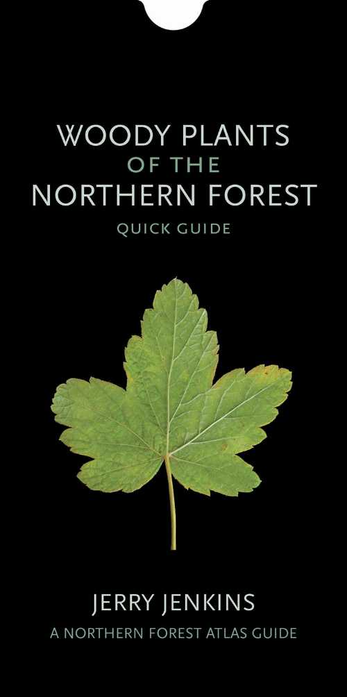 【古本】 Woody Plants of the Northern Forest: Quick Guide - Jerry Jenkins (Comstock Publishing Associates) 【紙書籍】 9781501724350