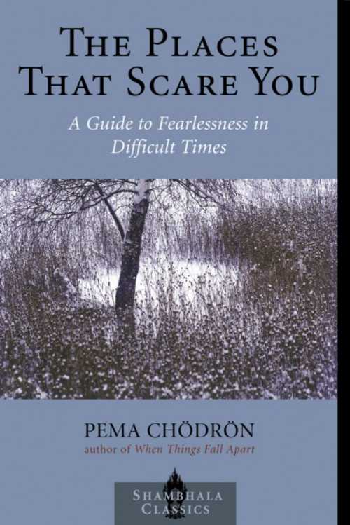 【古本】 Places That Scare You: A Guide to Fearlessness in Difficult Times - Pema Chodron (Shambhala) 【紙書籍】 9781570629211