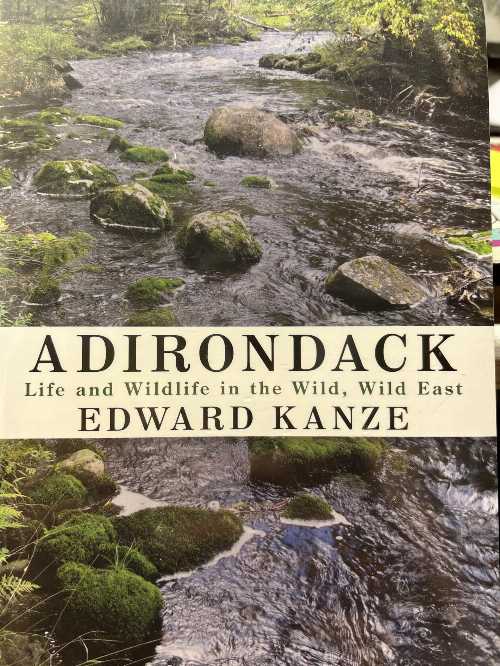 【古本】 Adirondack: Life and Wildlife in the Wild, Wild East - Edward Kanze (State University of New York Press) 【紙書籍】 9781438454146