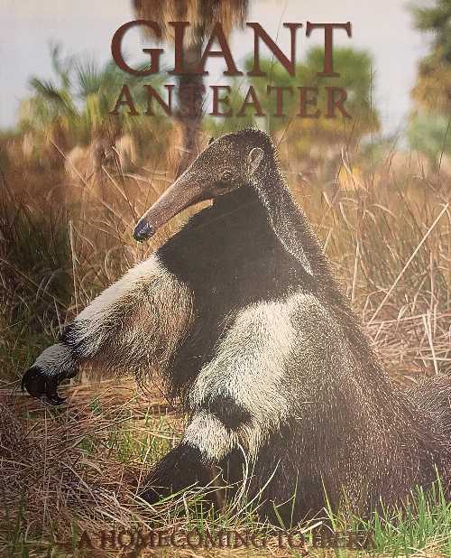【古本】 Giant Anteater : A Homecoming to Ibera - Ignacio Jimenez Perez (The Conservation Land Trust) 【紙書籍】 9789874509017