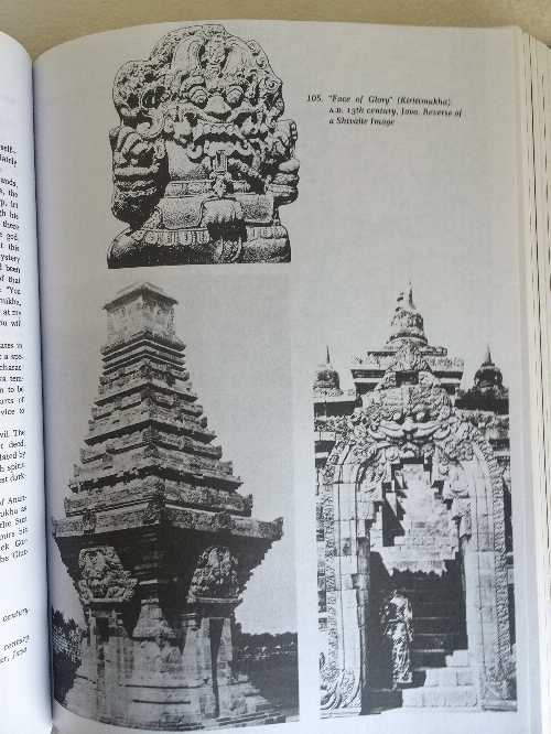 【古本】 Mythic Image - Joseph Campbell (Fine Communications) 【紙書籍】 9781567311228