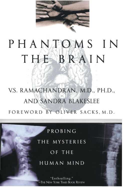 【古本】 Phantoms in the Brain - V S Ramachandran (Mariner Books) 【紙書籍】 9780688172176