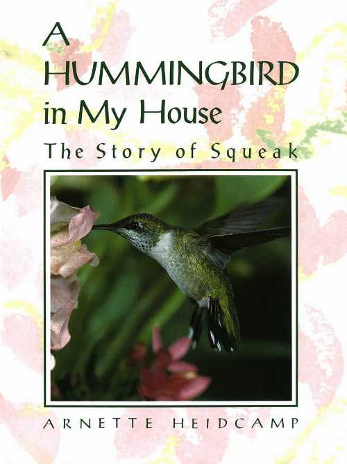 【古本】 Hummingbird in My House: The Story of Squeak - Arnette Heidcamp (Crown) 【紙書籍】 9780517577295