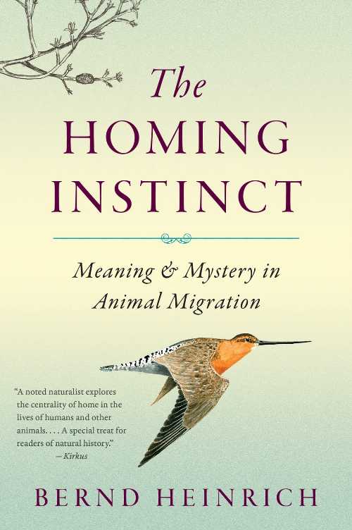 【古本】 Homing Instinct: Meaning and Mystery in Animal Migration - Bernd Heinrich (Mariner Books) 【紙書籍】 9780544484016