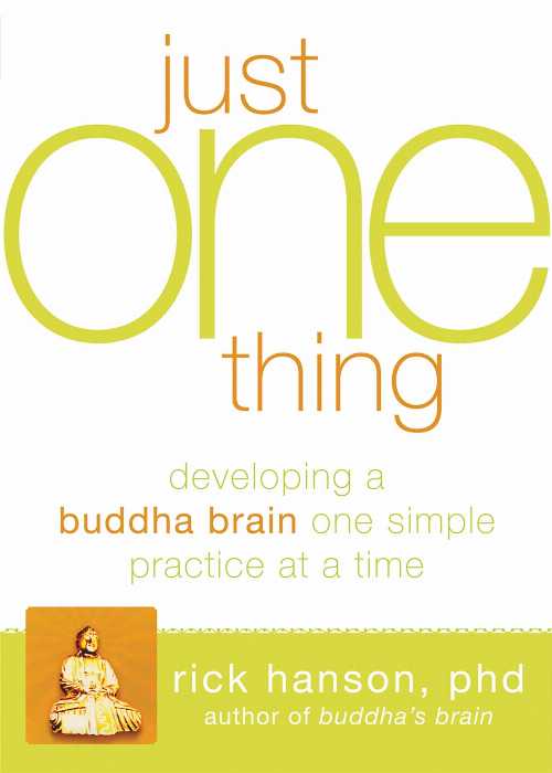 【古本】 Just One Thing: Developing a Buddha Brain One Simple Practice at a Time - Rick Hanson (New Harbinger Publications) 【紙書籍】 9781608820313