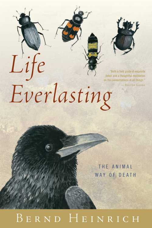 【古本】 Life Everlasting: The Animal Way of Death - Bernd Heinrich (Mariner Books) 【紙書籍】 9780544002265