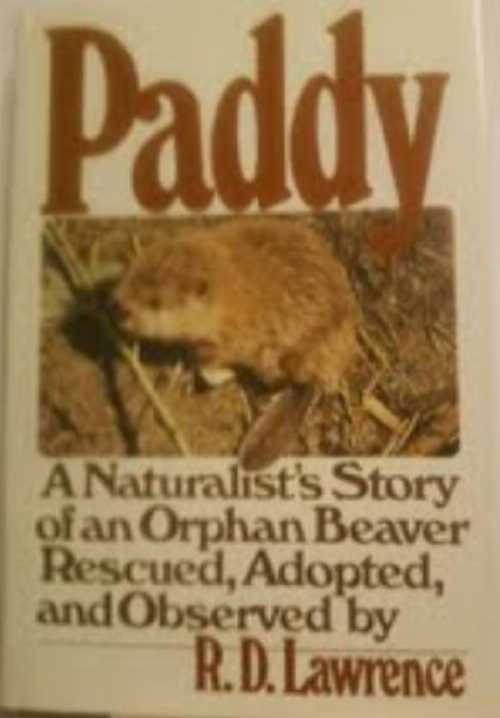 【古本】 Paddy: A Naturalist's Story of an Orphan Beaver - R D Lawrence (NY Alfred A. Knopf 1977.) 【紙書籍】 0394404033