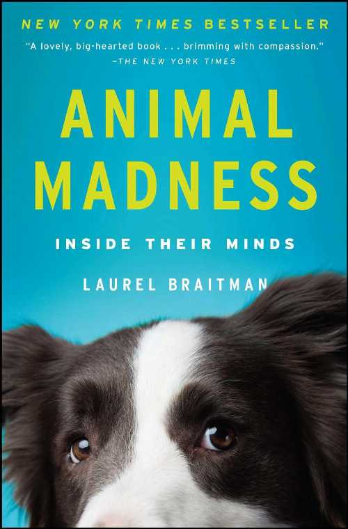 【古本】 Animal Madness: Inside Their Minds - Laurel Braitman (Simon & Schuster) 【紙書籍】 9781451627015