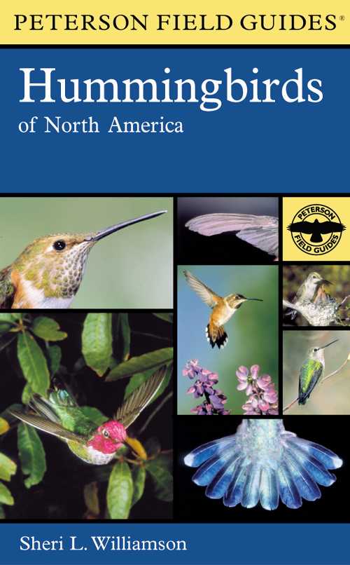 【古本】 Hummingbirds of North America - Sheri L Williamson (Mariner Books) 【紙書籍】 9780618024964