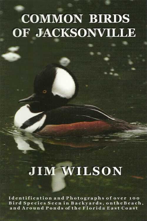 【古本】 Common Birds of Jacksonville - Jim Wilson (Self Published) 【紙書籍】 9780966724042