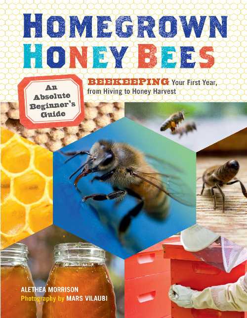 【古本】 Homegrown Honey Bees: An Absolute Beginner's Guide to Beekeeping Your First Year, from Hiving to Honey Harvest - Alethea Morrison (Storey Publishing, LLC) 【紙書籍】 9781603429948