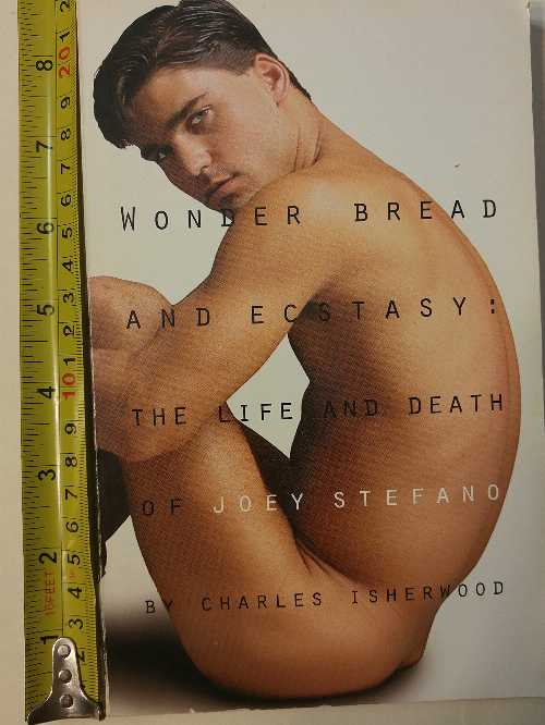 【古本】 Wonder Bread & Ecstasy: The Life and Death of Joey Stefano - Charles Isherwood (Alyson Pubns) 【紙書籍】 9781555833831
