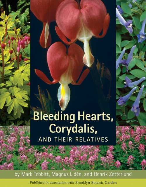 Roundabout Books㤨֡ڸܡ Bleeding Hearts, Corydalis, and Their Relatives - Magnus Liden (Timber Press ڻҡ 9780881928822פβǤʤ4,567ߤˤʤޤ