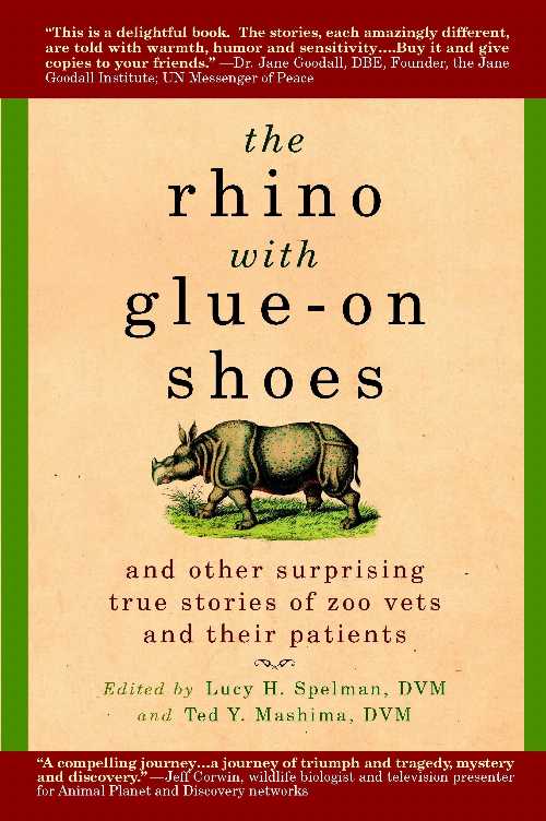 【古本】 Rhino with Glue-On Shoes: And Other Surprising True Stories of Zoo Vets and their Patie..